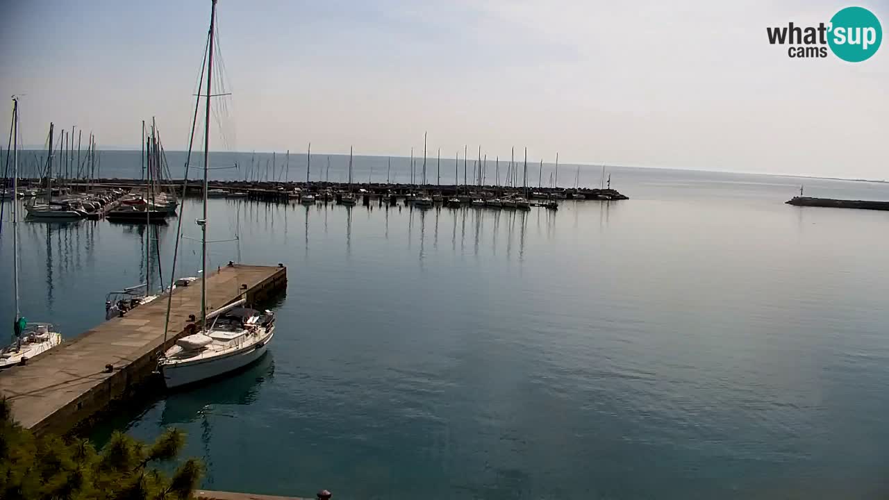 Webcam Sistiana – Marina and Bay Live View