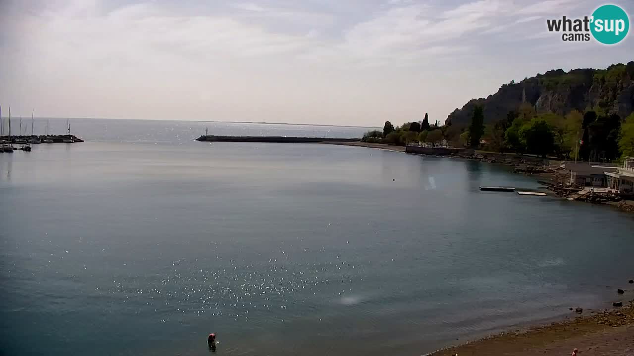 Webcam Sistiana – Marina and Bay Live View