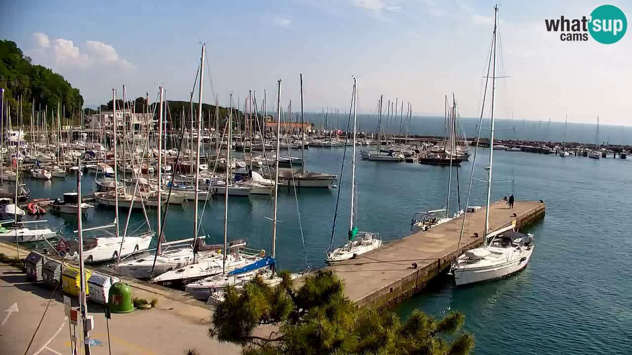 Webcam Sistiana – Pogled na marinu i zaljev