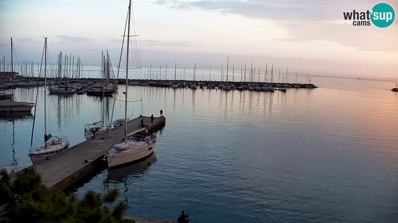Webcam Sistiana – Pogled na marinu i zaljev