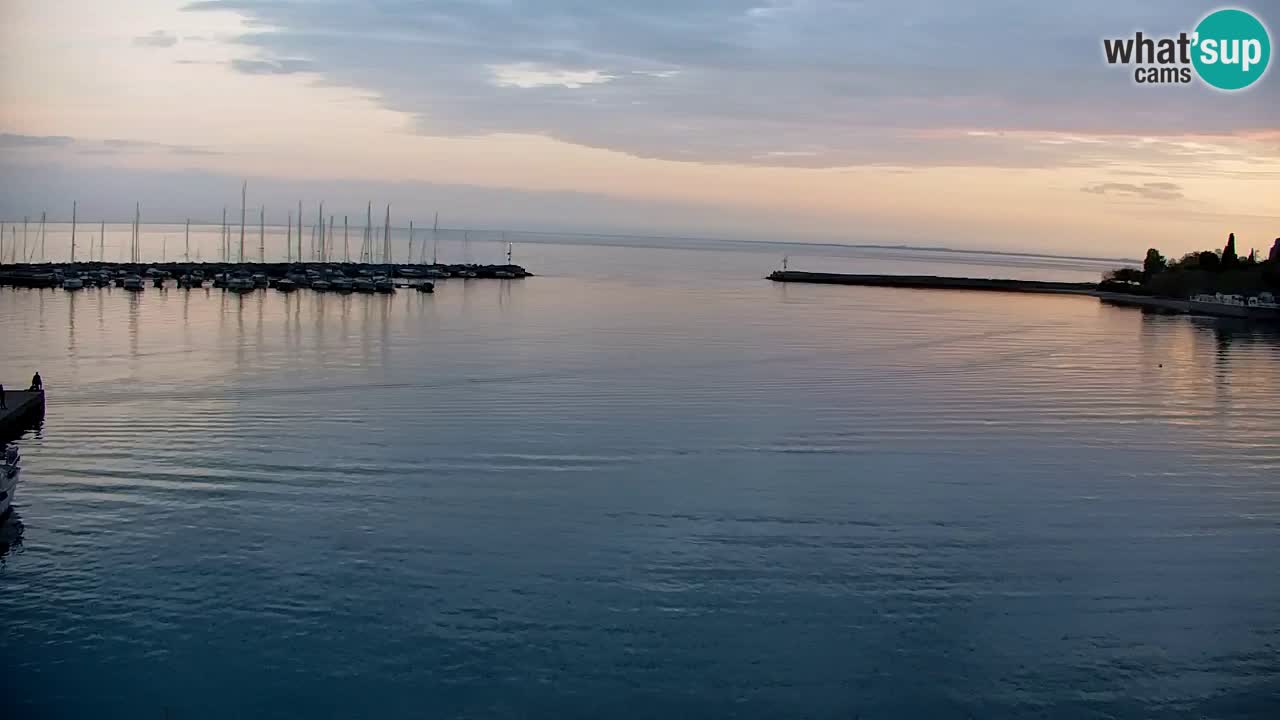 Webcam Sistiana – Marina and Bay Live View