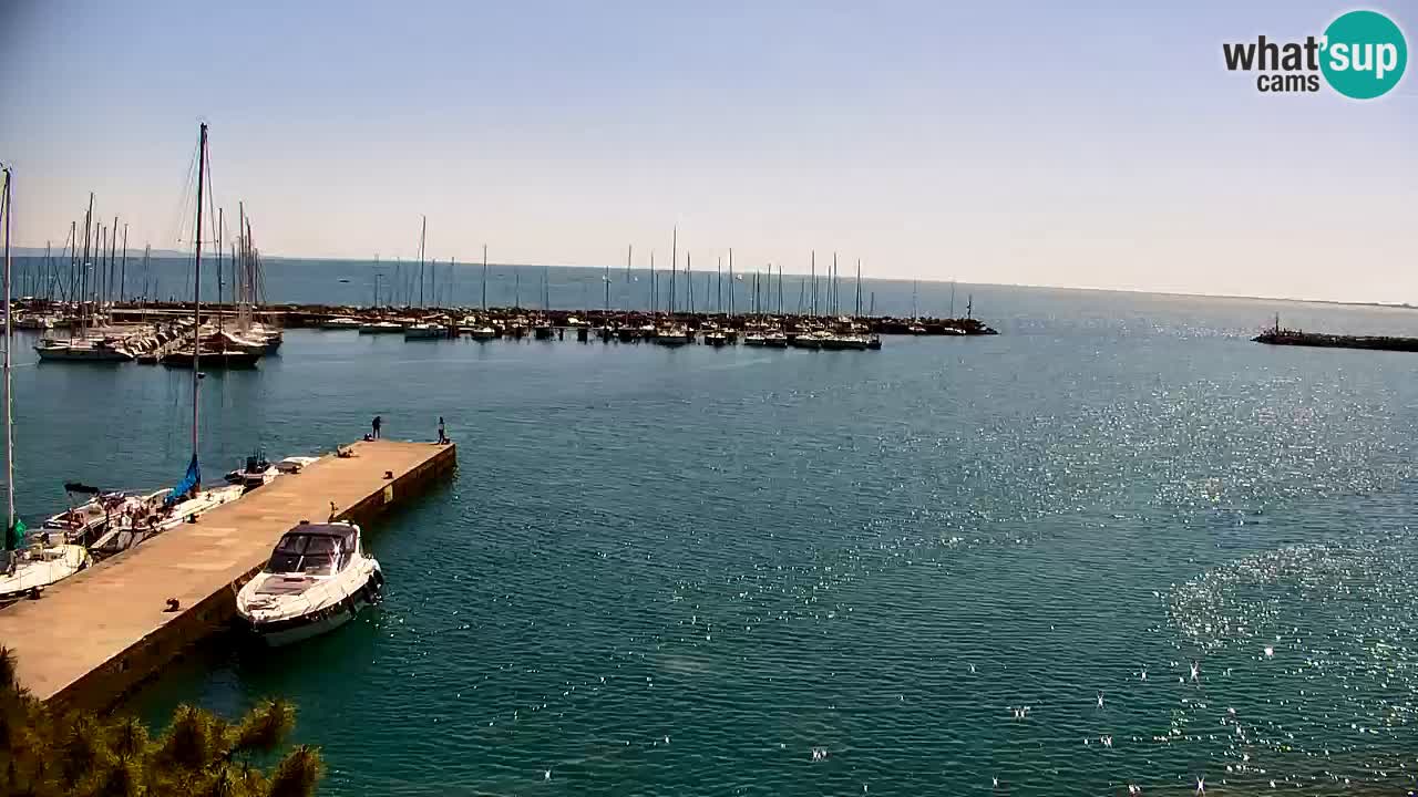 Webcam Sistiana – Vue sur la marina et la baie