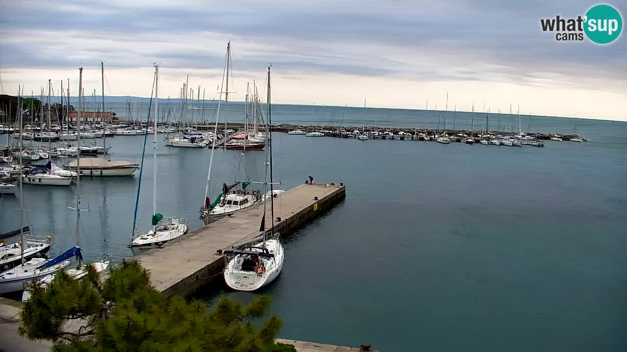 Webcam Sistiana – Vista sulla marina e sulla baia