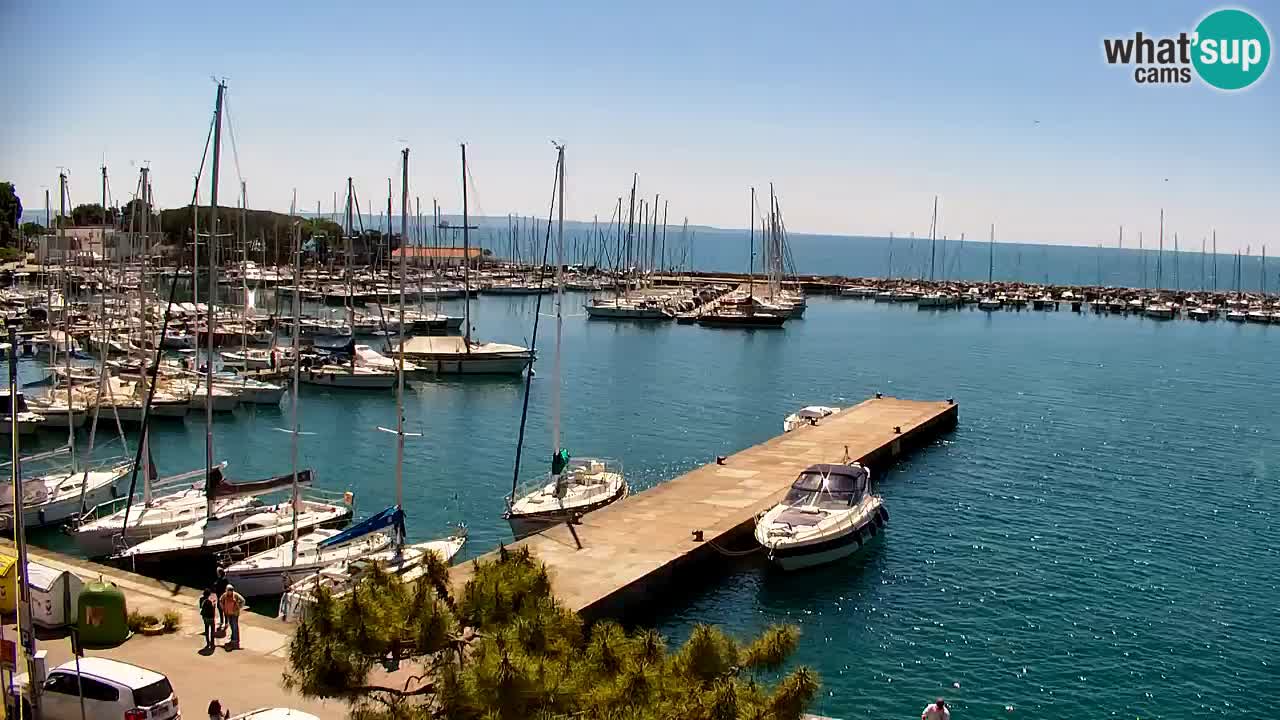 Spletna kamera Sesljan (Sistiana) – Pogled na marino in zaliv