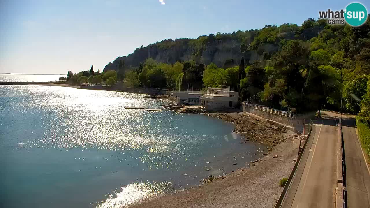 Webcam Sistiana – Marina and Bay Live View