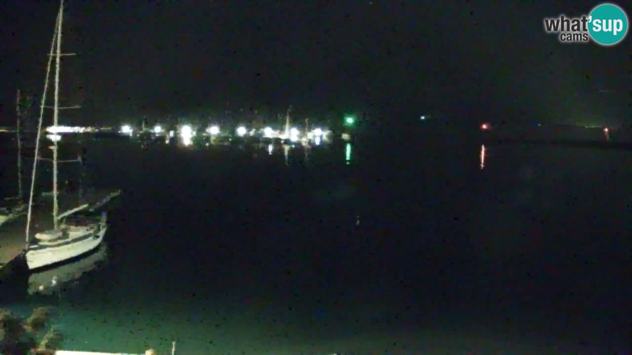 Webcam Sistiana – Pogled na marinu i zaljev