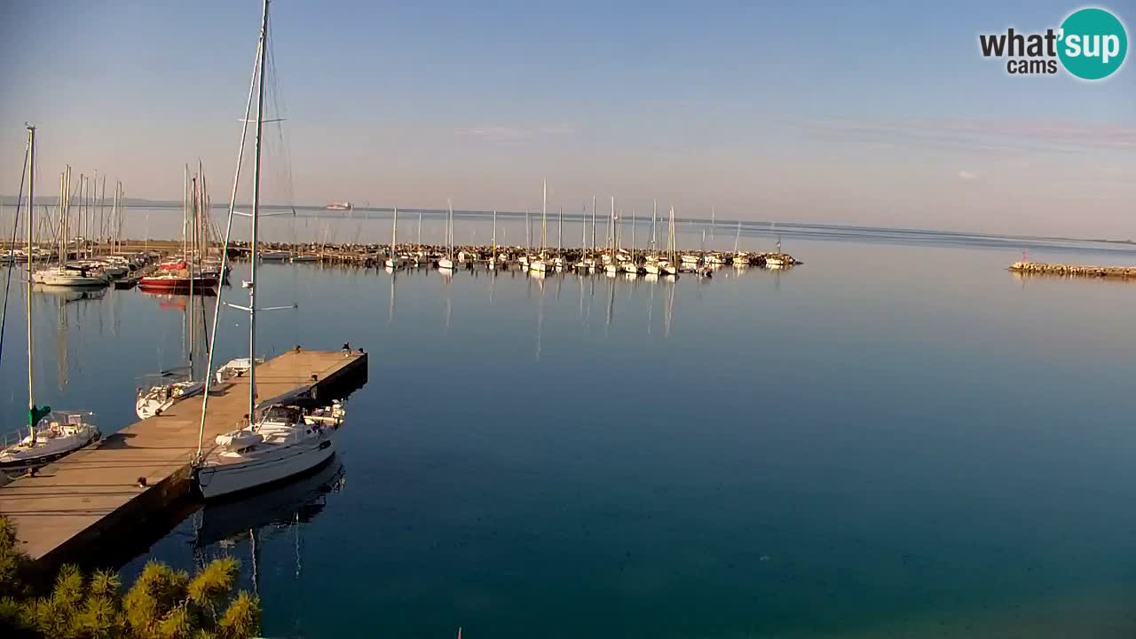 Webcam Sistiana – Marina and Bay Live View