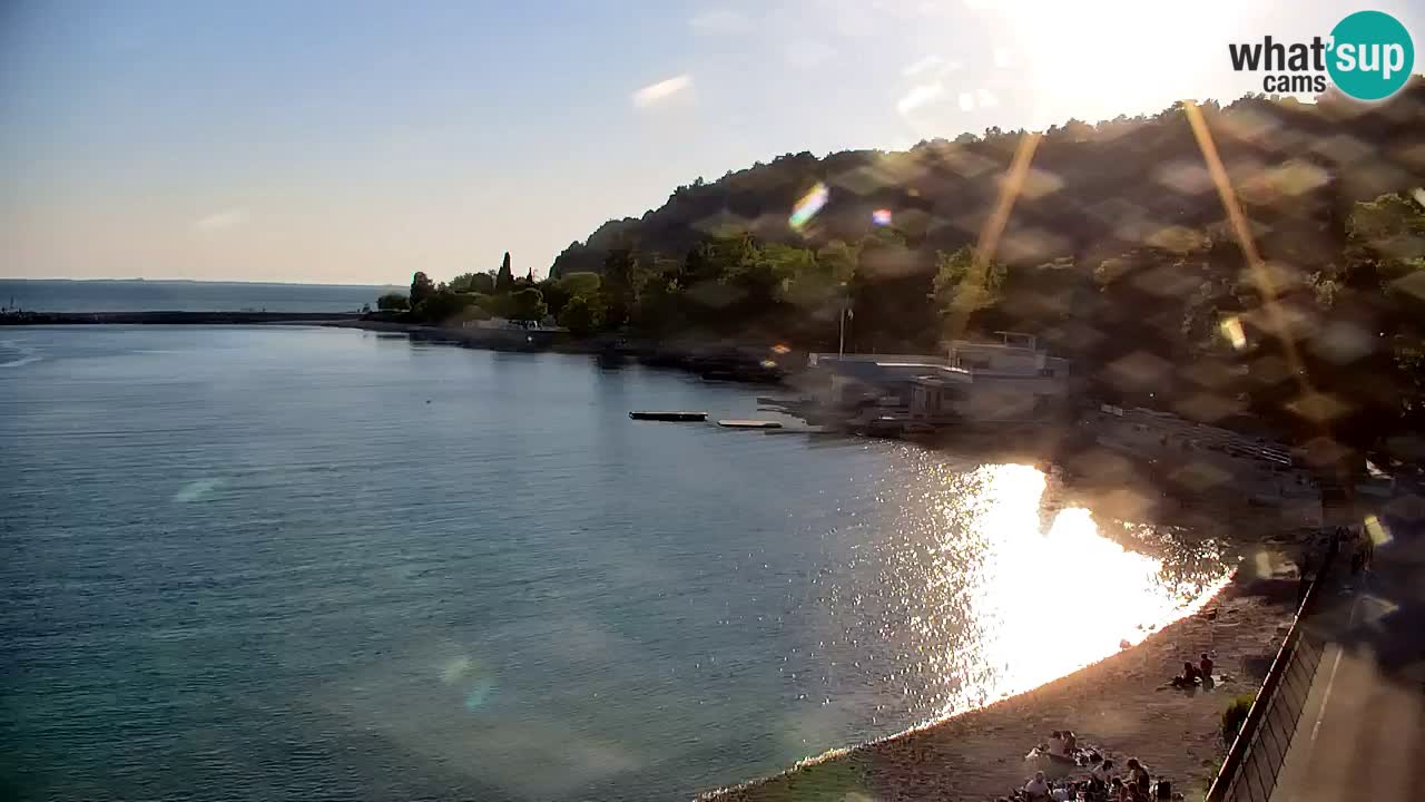 Webcam Sistiana – Marina and Bay Live View