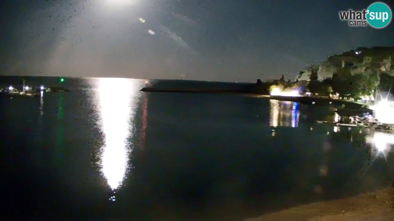 Spletna kamera Sesljan (Sistiana) – Pogled na marino in zaliv