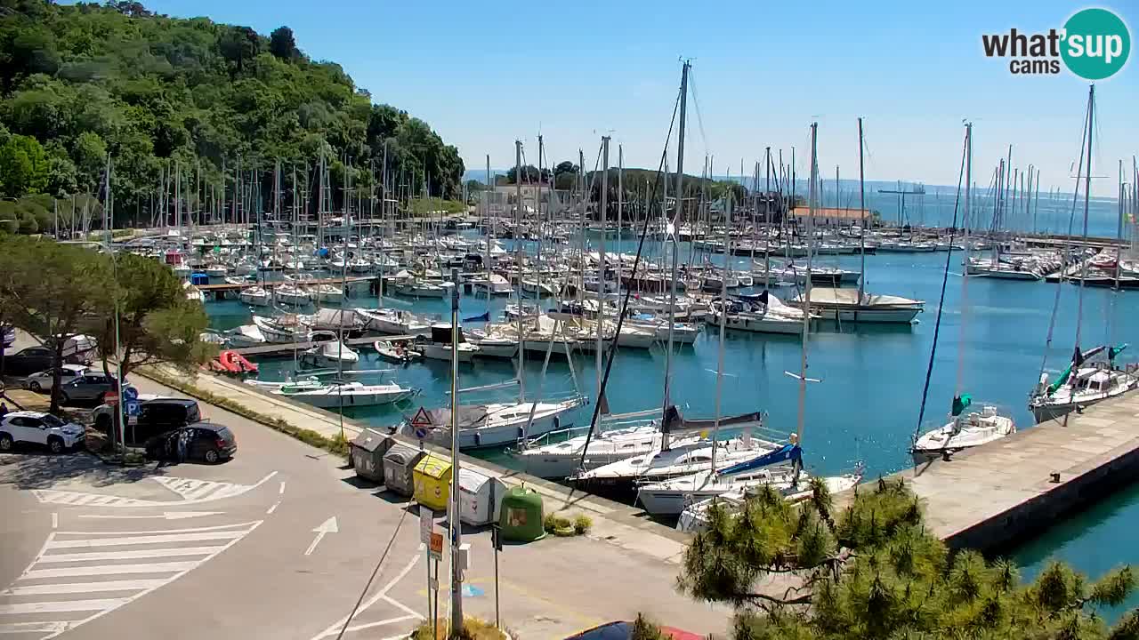 Webcam Sistiana – Marina and Bay Live View
