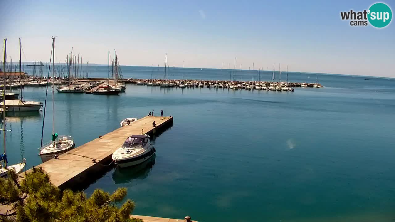 Webcam Sistiana – Pogled na marinu i zaljev
