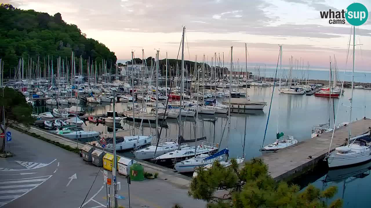 Webcam Sistiana – Pogled na marinu i zaljev
