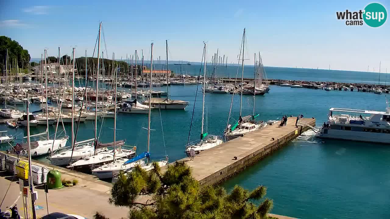 Webcam Sistiana – Blick auf Marina und Bucht