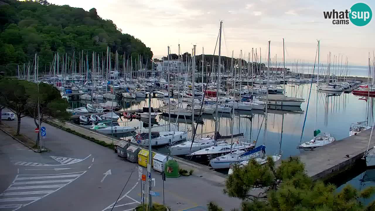 Spletna kamera Sesljan (Sistiana) – Pogled na marino in zaliv