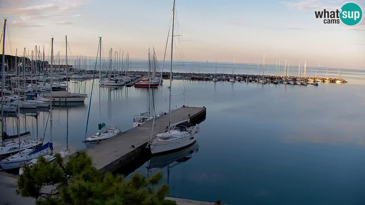 Webcam Sistiana – Marina and Bay Live View