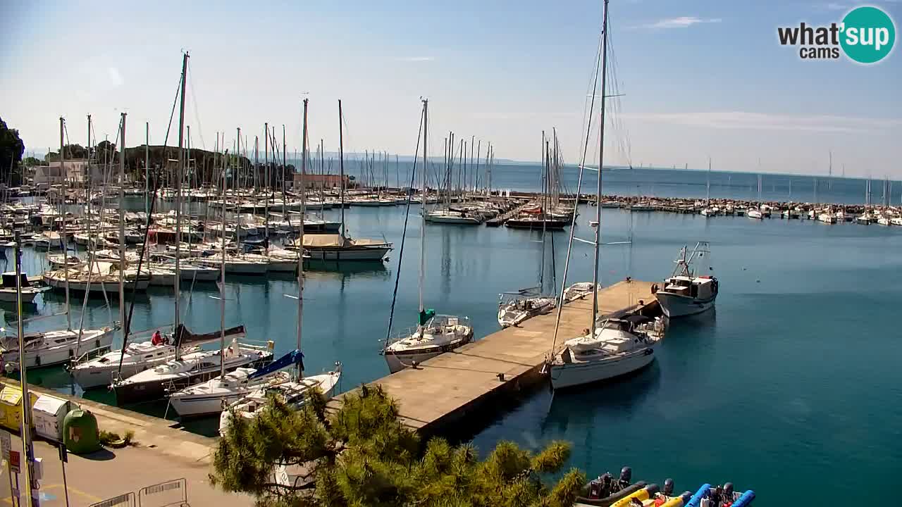 Webcam Sistiana – Pogled na marinu i zaljev