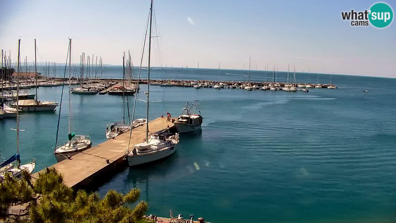 Webcam Sistiana – Pogled na marinu i zaljev