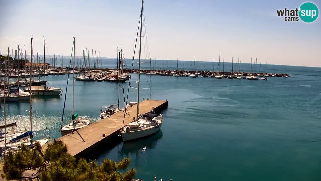 Webcam Sistiana – Marina and Bay Live View