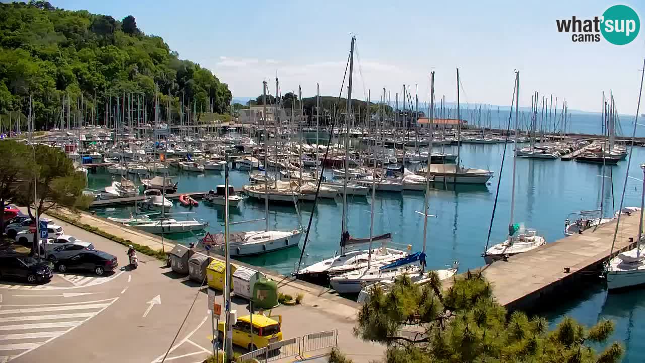 Webcam Sistiana – Pogled na marinu i zaljev