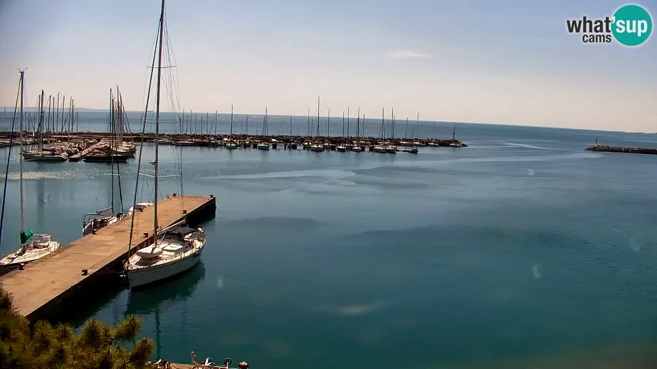 Webcam Sistiana – Marina and Bay Live View