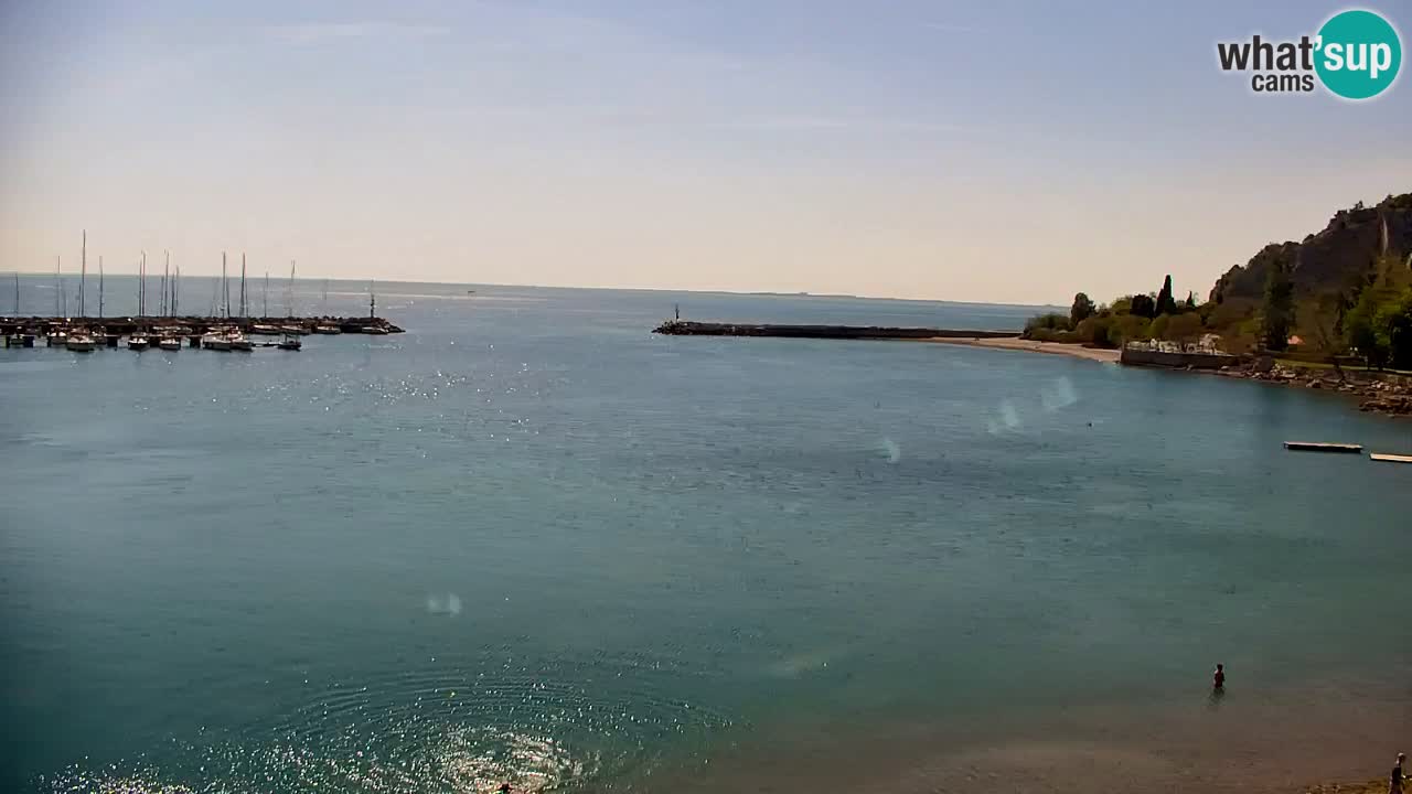 Spletna kamera Sesljan (Sistiana) – Pogled na marino in zaliv