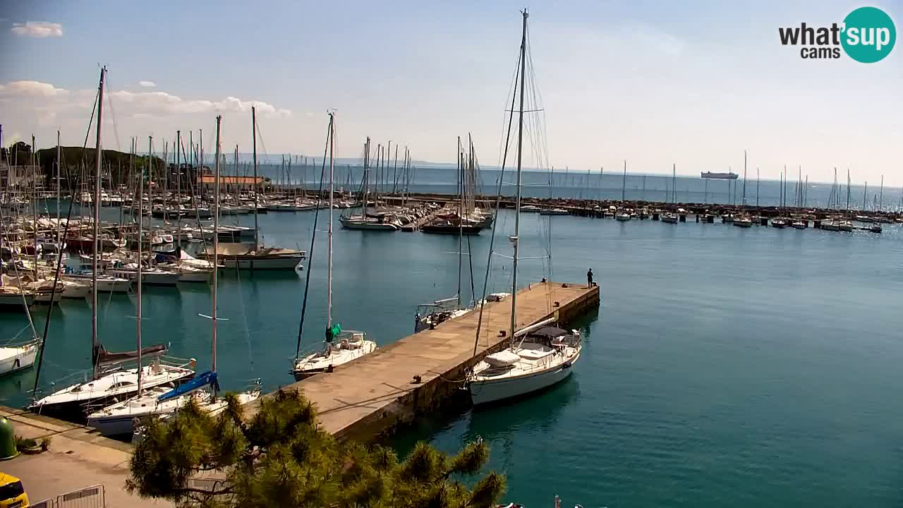 Webcam Sistiana – Marina and Bay Live View