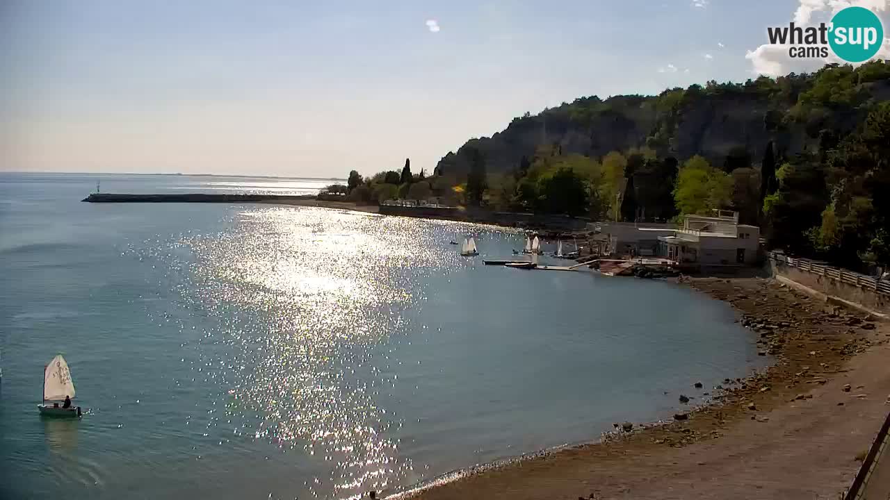 Webcam Sistiana – Marina and Bay Live View