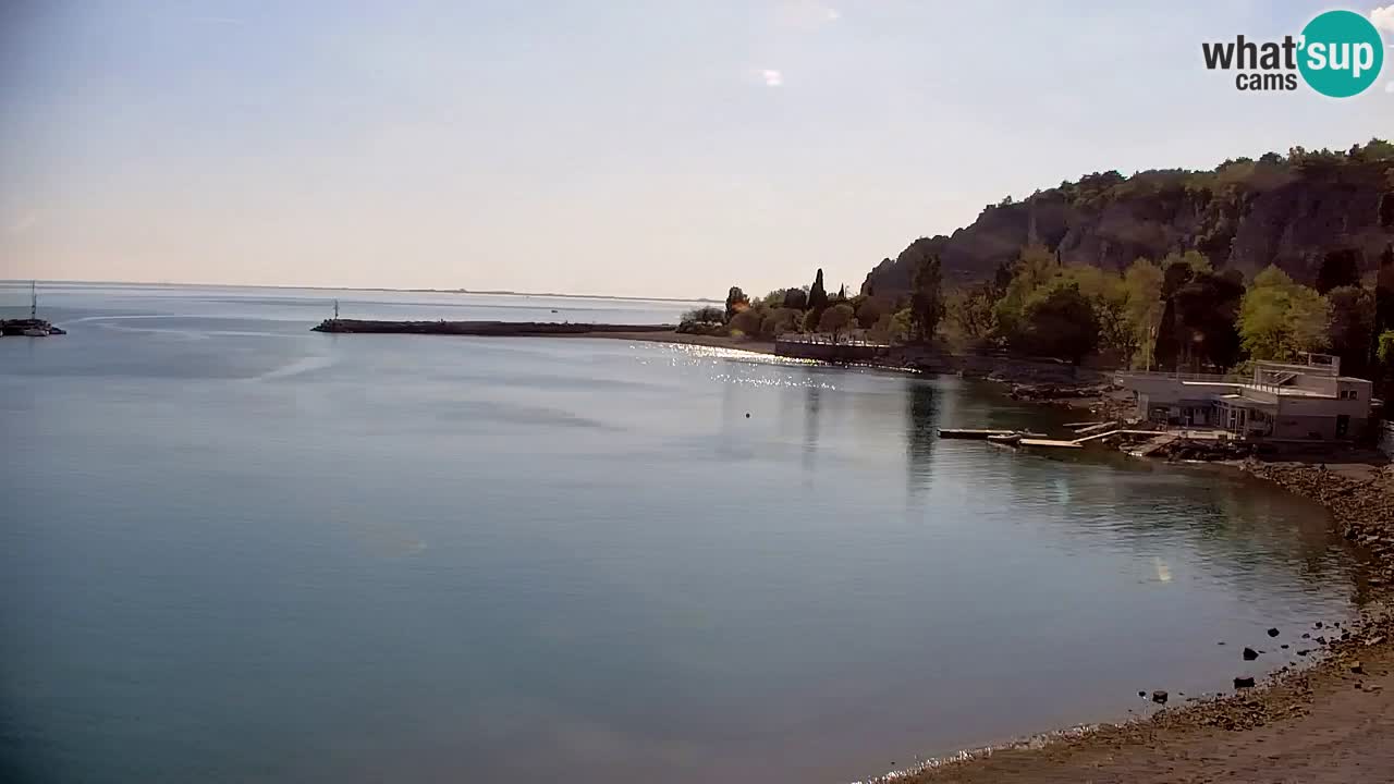 Webcam Sistiana – Marina and Bay Live View