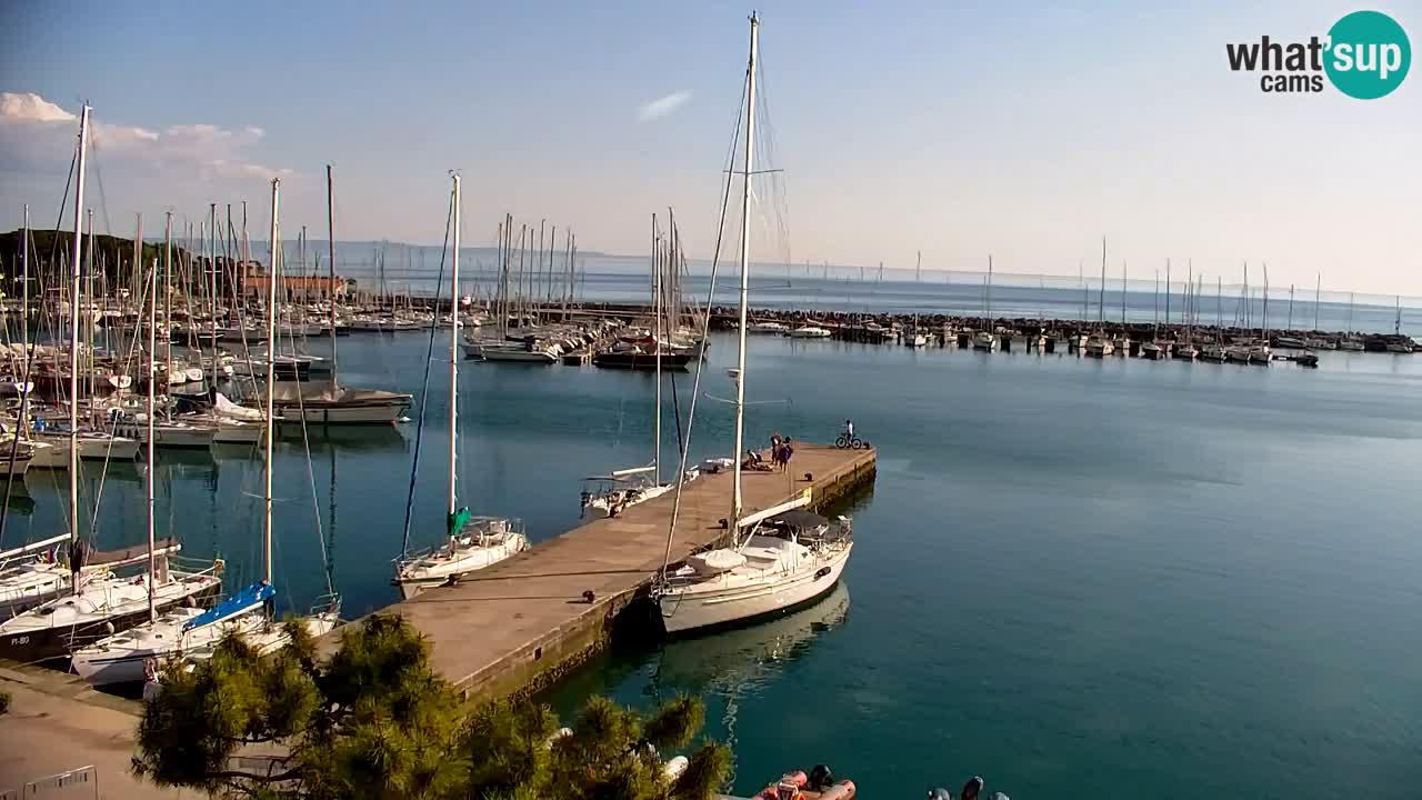 Webcam Sistiana – Marina and Bay Live View