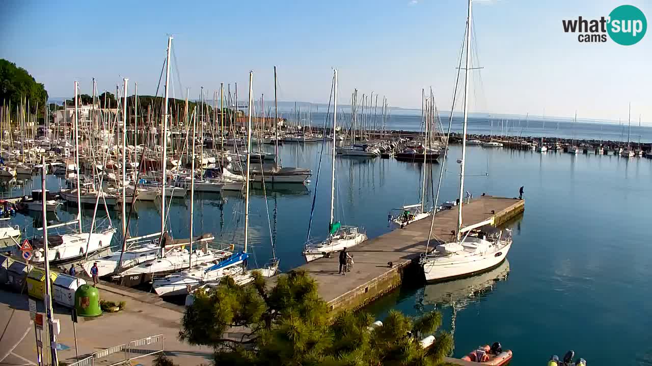 Webcam Sistiana – Marina and Bay Live View
