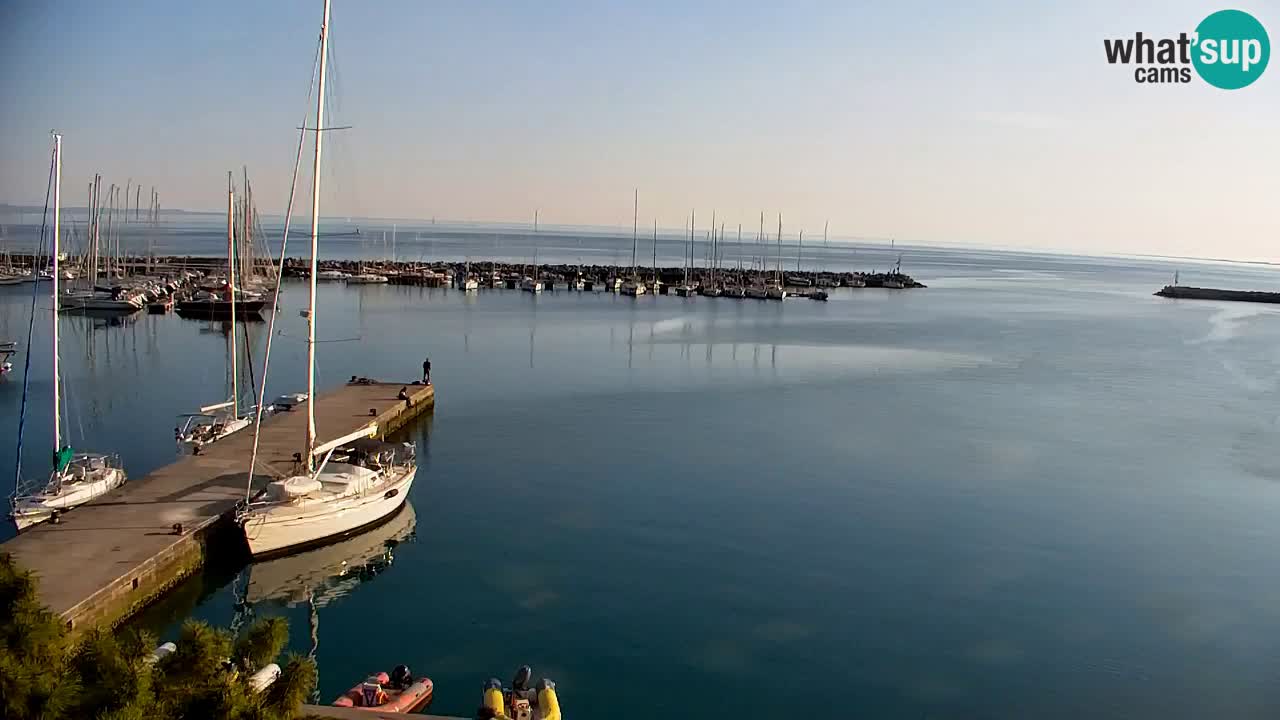 Webcam Sistiana – Vista sobre la marina y la bahía