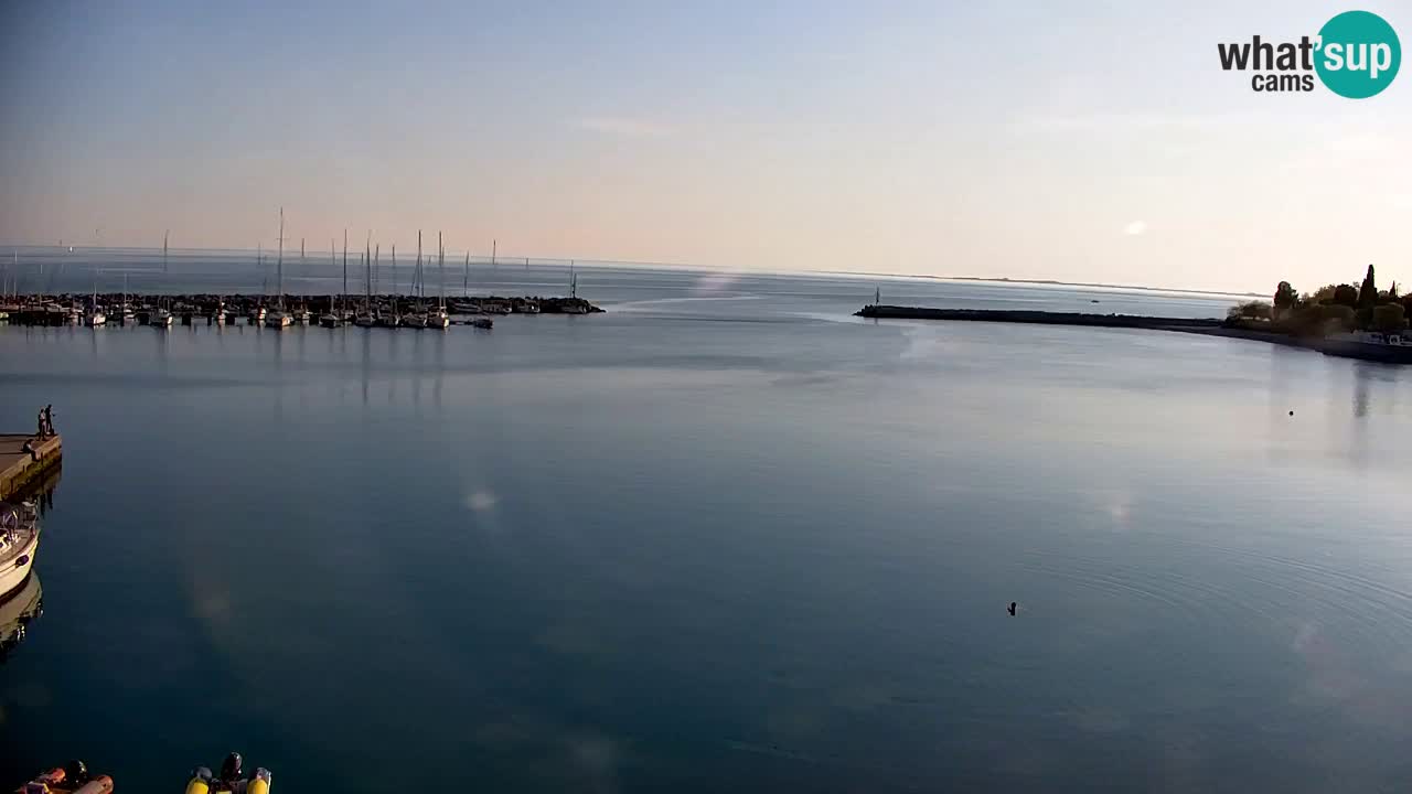 Webcam Sistiana – Blick auf Marina und Bucht