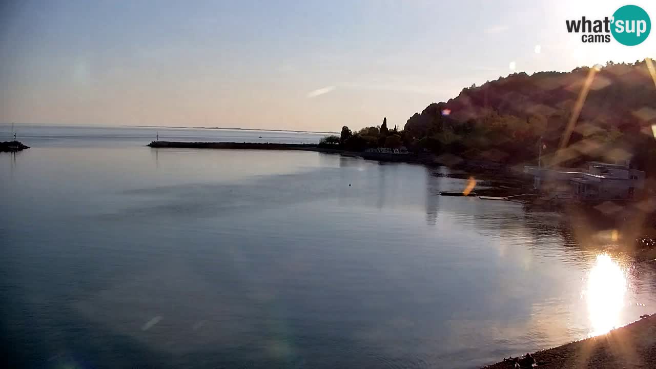 Webcam Sistiana – Blick auf Marina und Bucht