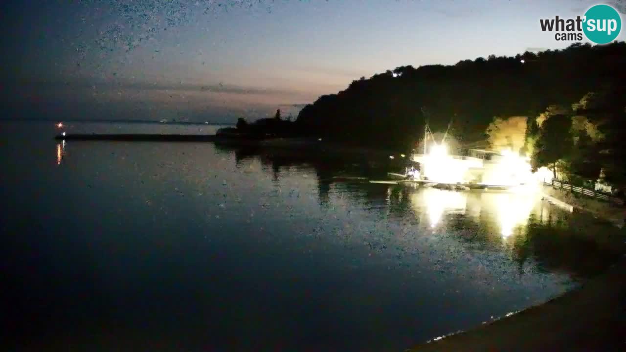 Webcam Sistiana – Marina and Bay Live View