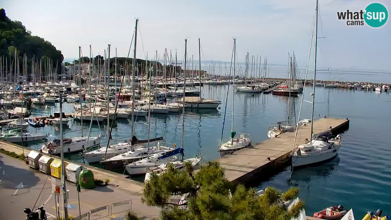 Webcam Sistiana – Vista sulla marina e sulla baia