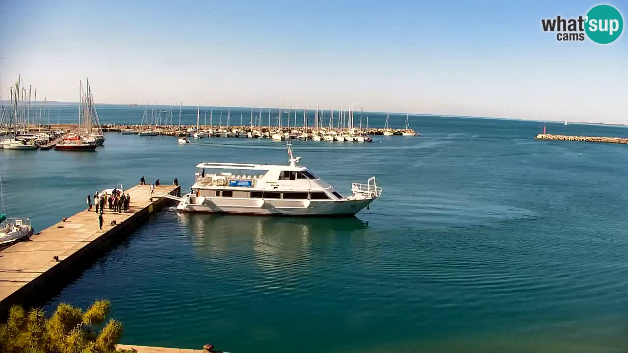 Webcam Sistiana – Blick auf Marina und Bucht