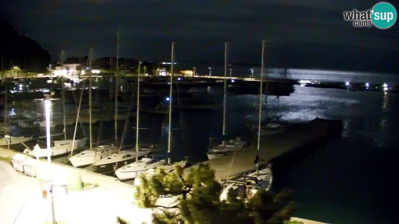 Webcam Sistiana – Pogled na marinu i zaljev
