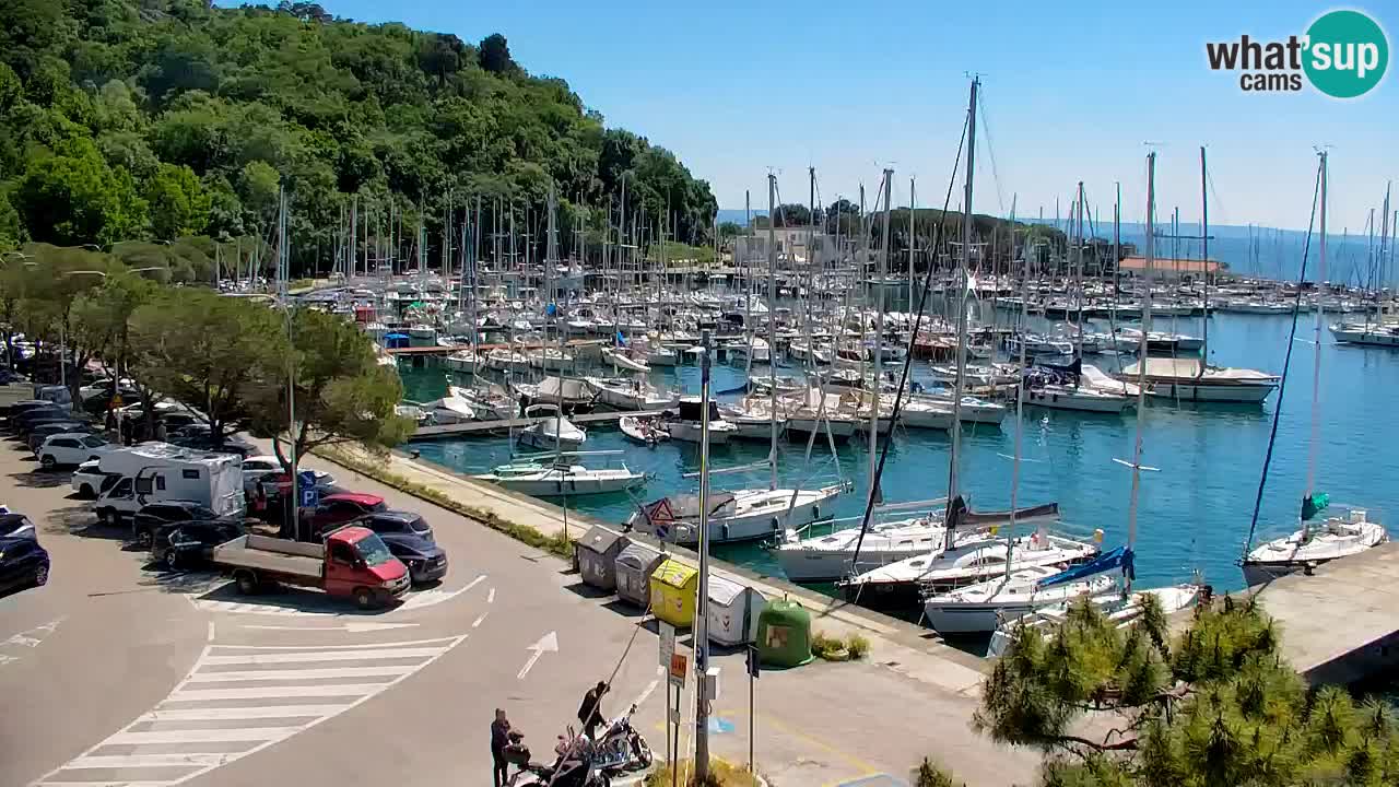 Spletna kamera Sesljan (Sistiana) – Pogled na marino in zaliv