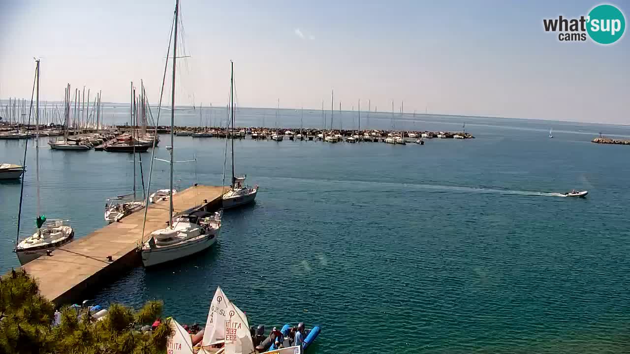 Spletna kamera Sesljan (Sistiana) – Pogled na marino in zaliv
