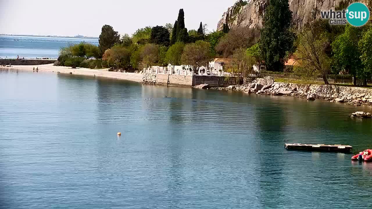 Webcam Sistiana – Pogled na marinu i zaljev