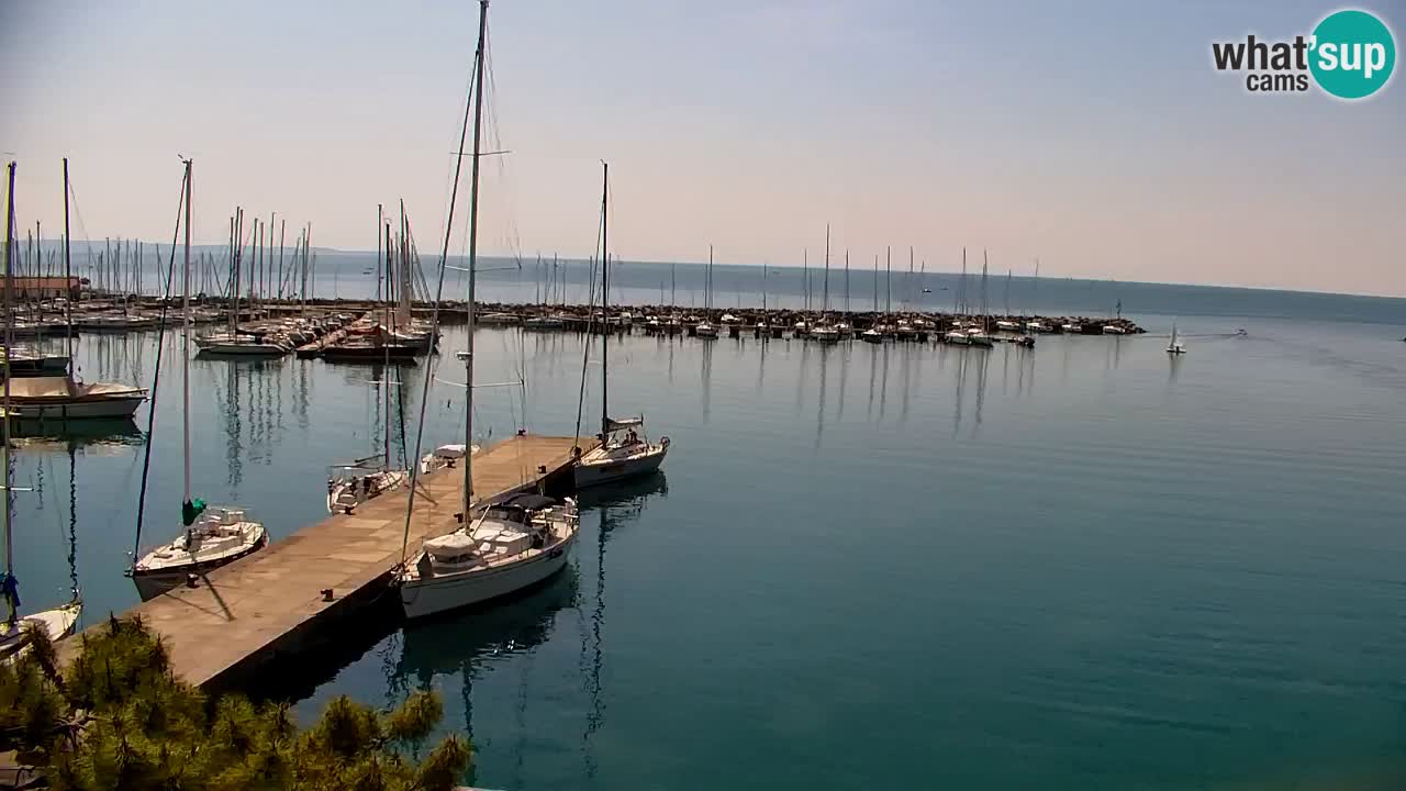 Spletna kamera Sesljan (Sistiana) – Pogled na marino in zaliv