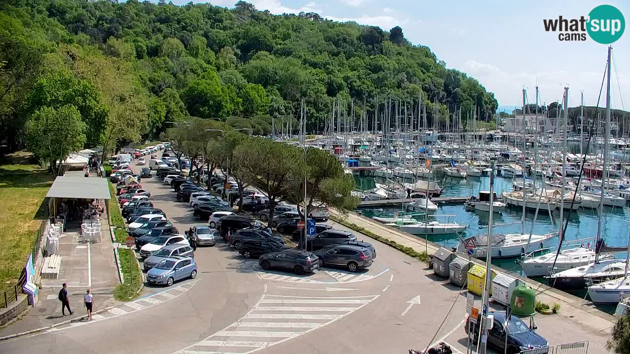 Spletna kamera Sesljan (Sistiana) – Pogled na marino in zaliv