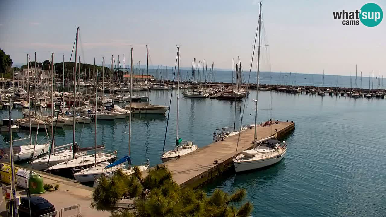 Webcam Sistiana – Blick auf Marina und Bucht