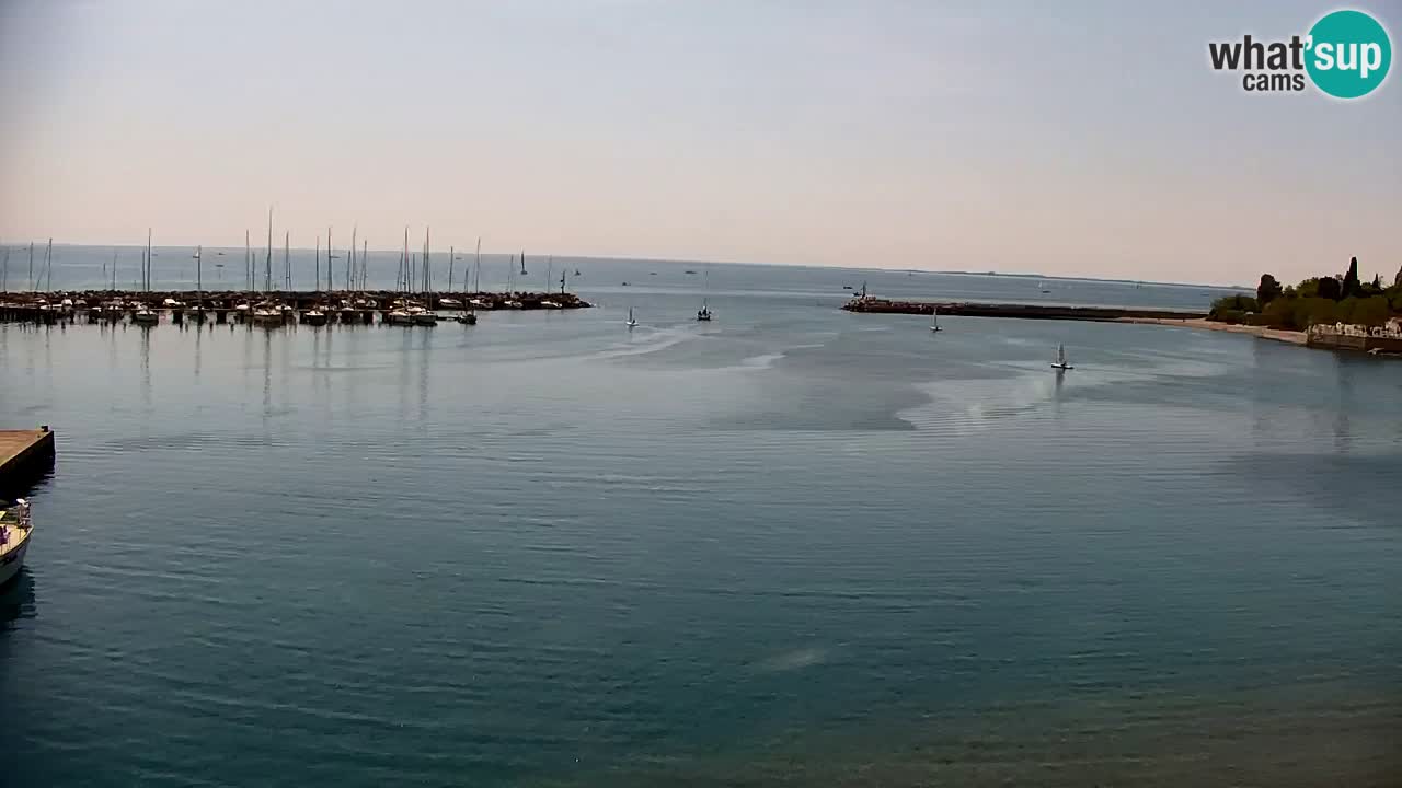 Webcam Sistiana – Pogled na marinu i zaljev