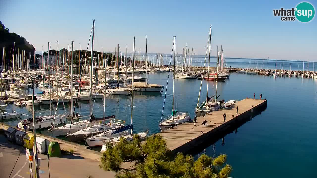 Webcam Sistiana – Pogled na marinu i zaljev