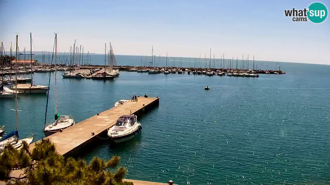 Webcam Sistiana – Pogled na marinu i zaljev