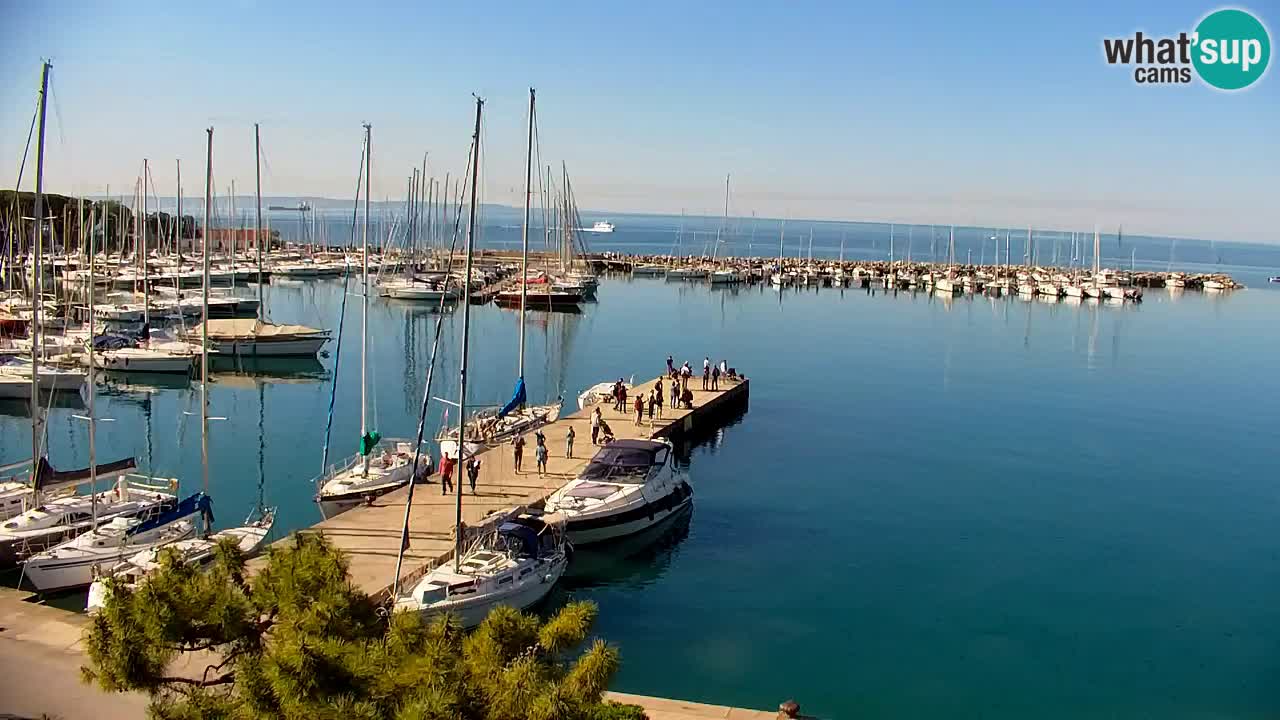Webcam Sistiana – Pogled na marinu i zaljev