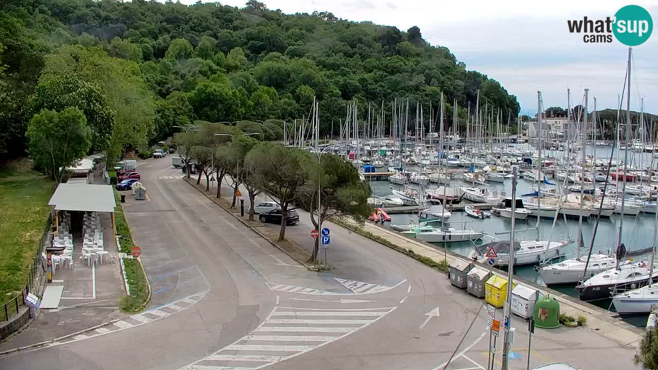 Spletna kamera Sesljan (Sistiana) – Pogled na marino in zaliv