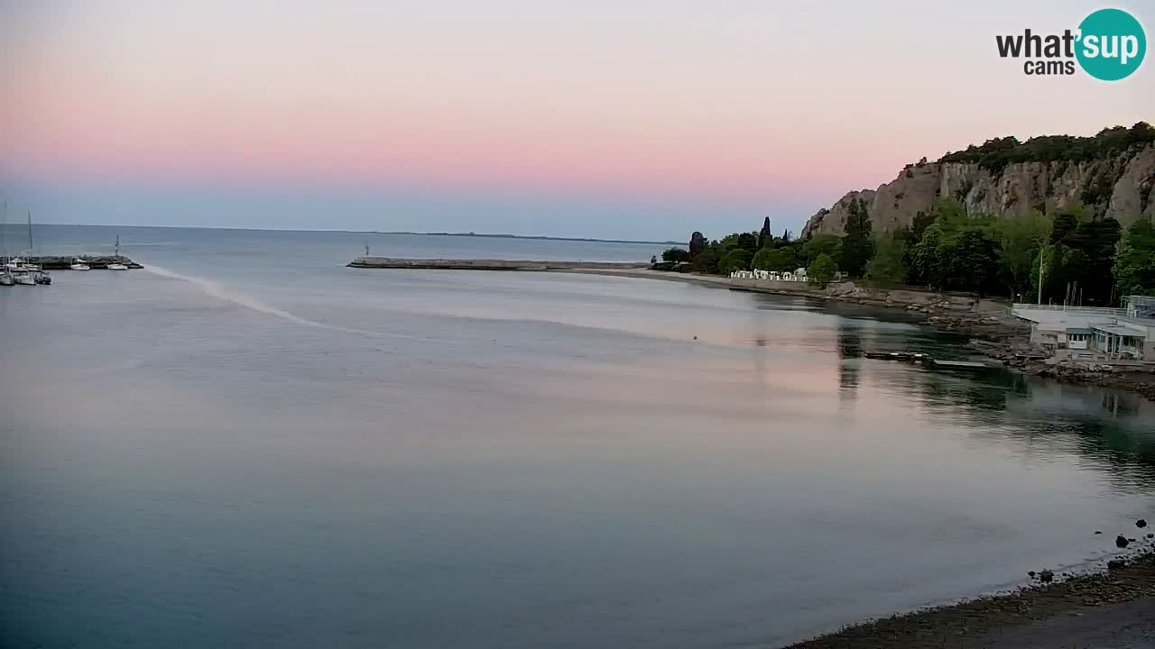 Webcam Sistiana – Pogled na marinu i zaljev