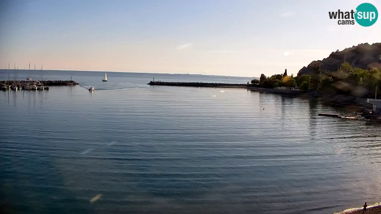 Spletna kamera Sesljan (Sistiana) – Pogled na marino in zaliv